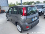  Fiat  Panda 1.0 FireFly 70cv S&S Hybrid #3