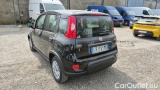  Fiat  Panda 1.0 FireFly 70cv S&S Hybrid #3