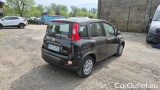  Fiat  Panda 1.0 FireFly 70cv S&S Hybrid #4