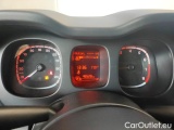  Fiat  Panda 1.0 FireFly 70cv S&S Hybrid #13