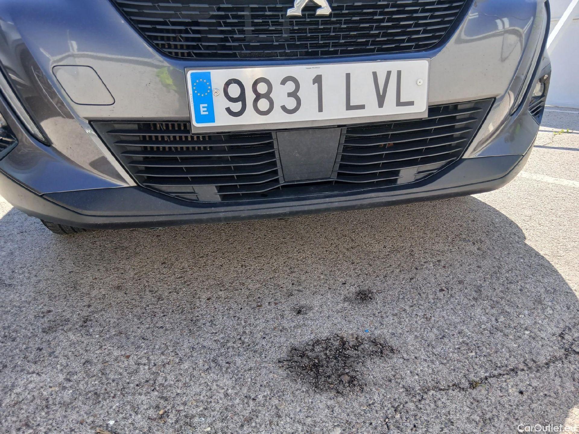  Peugeot  2008 PEUGEOT  / 2019 / 5P / todoterreno Active BlueHDI 81kW (110CV) #10