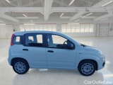  Fiat  Panda FIAT  / 2011 / 5P / BERLINA 1.0 FIREFLY 70CV SeS HYBRID #7