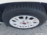  Fiat  Panda FIAT  / 2011 / 5P / BERLINA 1.0 FIREFLY 70CV SeS HYBRID #19