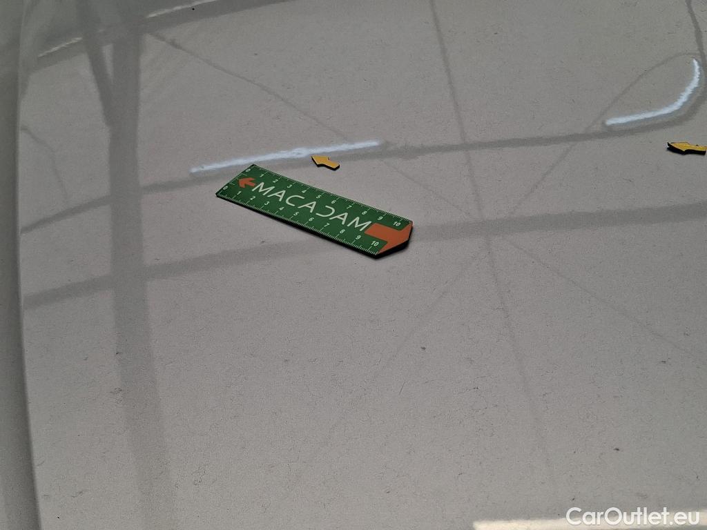  Skoda  Kodiaq  Business 2.0 TDI 150CV BVA7 E6d #13