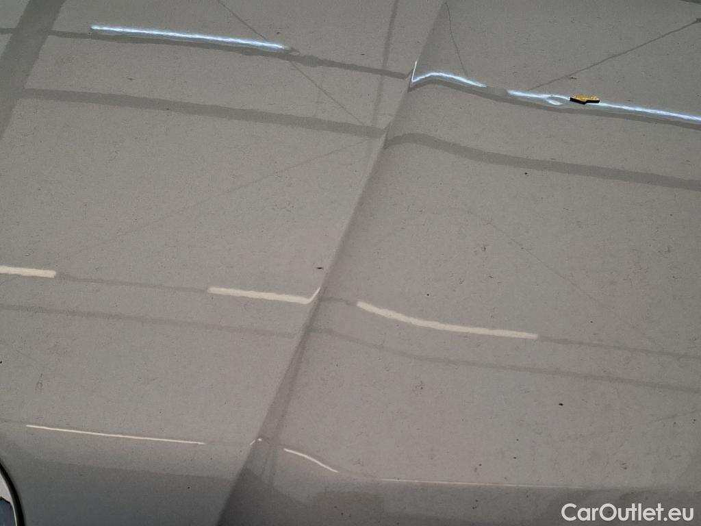  Skoda  Kodiaq  Business 2.0 TDI 150CV BVA7 E6d #17