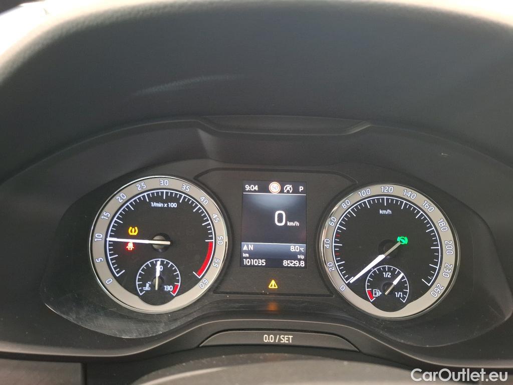  Skoda  Kodiaq  Business 2.0 TDI 150CV BVA7 E6d #23
