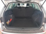  Skoda  Kodiaq  Business 2.0 TDI 150CV BVA7 E6d #10