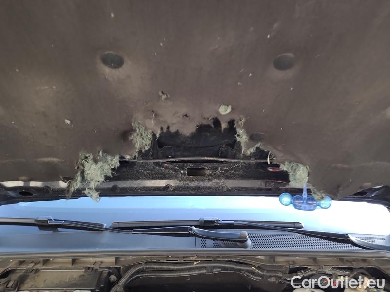  Ford  Ranger  (TRB)(2022->)  DC 3.0 Wildtrak 4WD AT #9