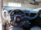  Fiat  Panda FIAT  / 2012 / 5P / BERLINA 1.2 69 CV VAN 2 POSTI EURO6 POP #3