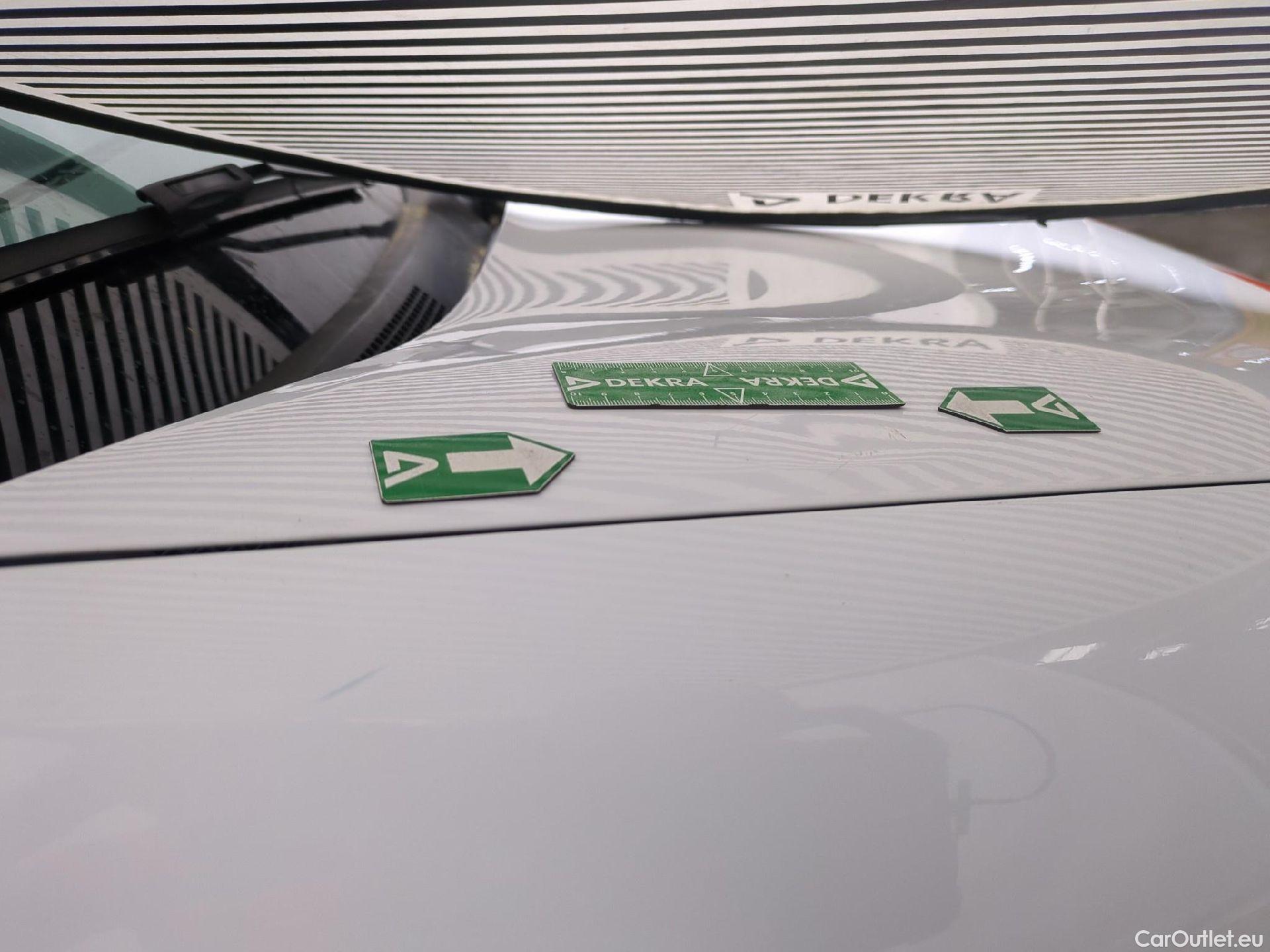  Renault  Kangoo  Express Maxi Extra (Série Spéciale) 1.5 #81