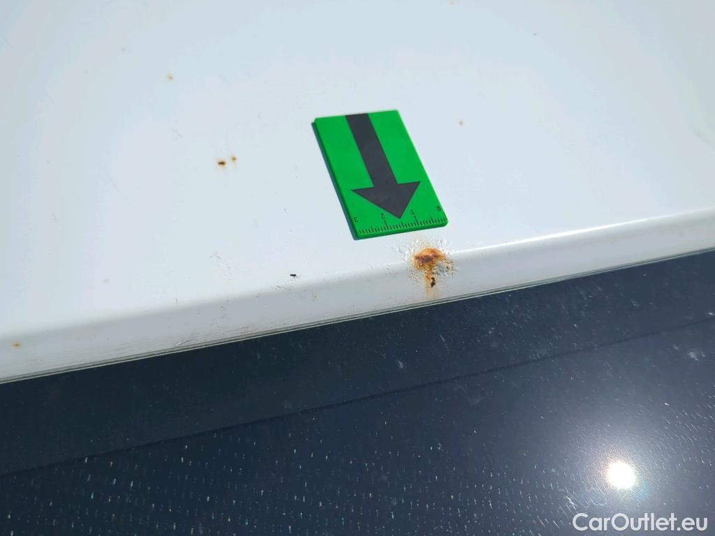  Ford  Transit 2.0EcoBlue 130PS 350 L4H3 Trend RWD #12