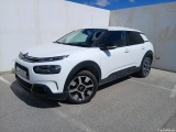 C4 Cactus