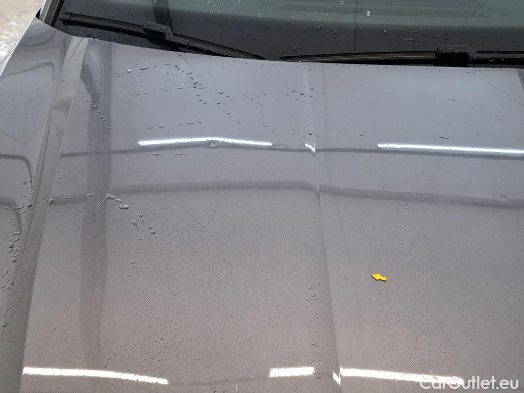  Skoda  Octavia  Break Business 2.0 TDI 115CV BVM6 E6d #19