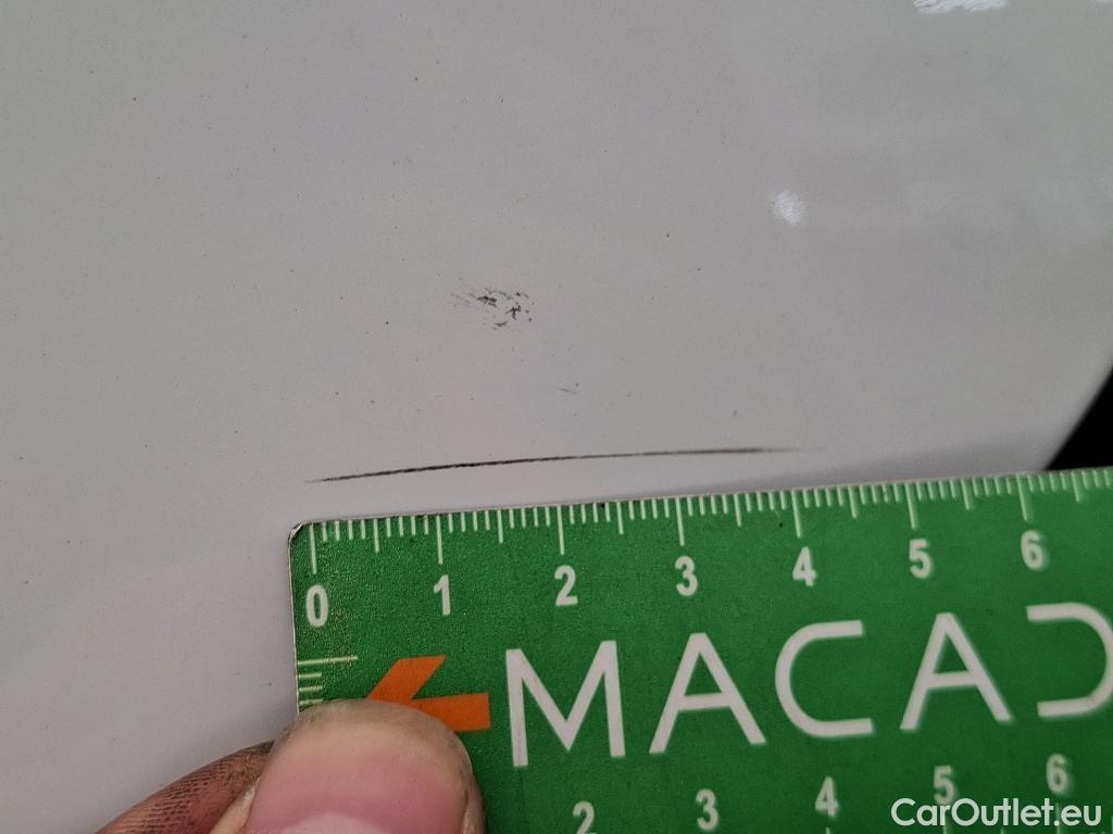  Renault  Trafic RENAULT  / 2019 / 4P / Fourgon tole FG GCF L2H1 1300 dCi 120 #67