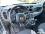  Fiat  Panda 1.0 FireFly 70cv S&S Hybrid #7