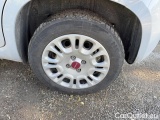  Fiat  Panda 1.0 FireFly 70cv S&S Hybrid #14