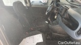  Fiat  Panda 1.0 FireFly 70cv S&S Hybrid #7