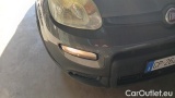  Fiat  Panda 1.0 FireFly 70cv S&S Hybrid #55