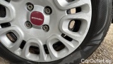  Fiat  Panda 1.0 FireFly 70cv S&S Hybrid #35