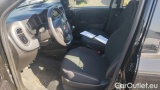  Fiat  Panda 1.0 FireFly 70cv S&S Hybrid #6
