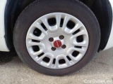  Fiat  Panda FIAT  / 2011 / 5P / BERLINA 1.0 FIREFLY 70CV SeS HYBRID #17