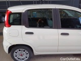  Fiat  Panda FIAT  / 2011 / 5P / BERLINA 1.0 FIREFLY 70CV SeS HYBRID #60