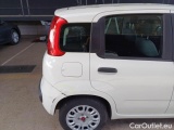 Fiat  Panda FIAT  / 2011 / 5P / BERLINA 1.0 FIREFLY 70CV SeS HYBRID #62