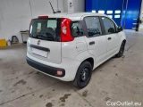  Fiat  Panda FIAT  / 2011 / 5P / BERLINA 1.2 69CV SeS E6D-TEMP EASY #2