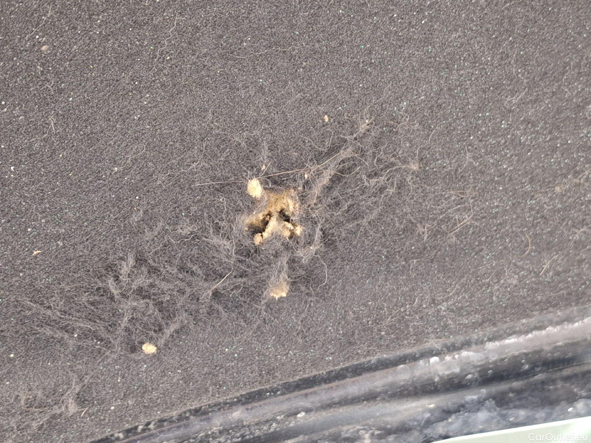  Opel  Astra Opel,  ST FL'19, Opel  Sports Tourer 1.2 Turbo 81kW S/S Editio #70