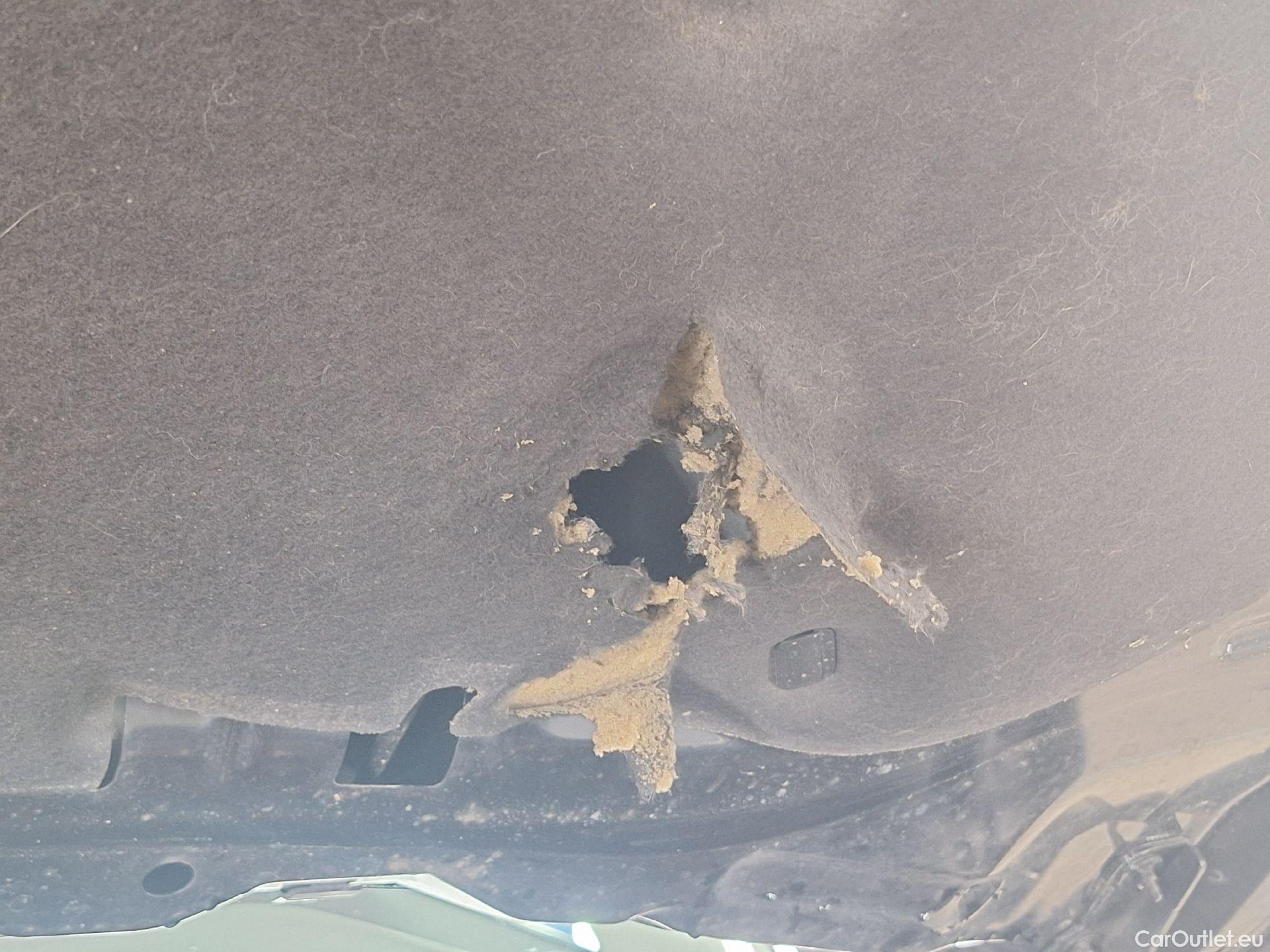  Ford  Kuga Ford,  '19, Ford  1.5 EcoBlue 88kW Trend 5d #2