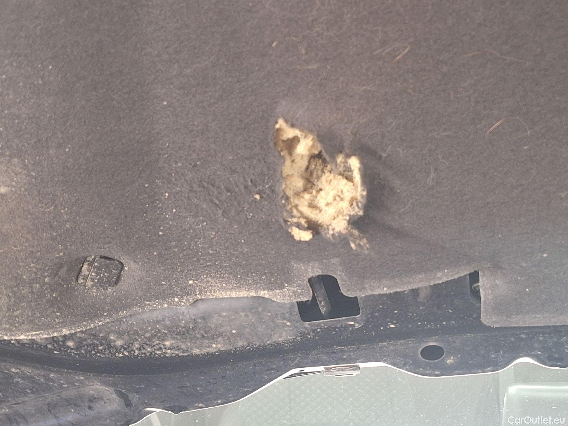  Ford  Kuga Ford,  '19, Ford  1.5 EcoBlue 88kW Trend 5d #3