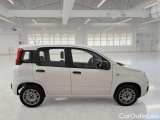  Fiat  Panda FIAT  / 2011 / 5P / BERLINA 1.2 69CV SeS E6D-TEMP EASY #7