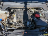  Ford  Focus  Turnier Cool & Connect 1.0 EcoBoost 92KW MT6 E6dT #14