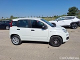  Fiat  Panda FIAT  / 2011 / 5P / BERLINA 0.9 TWINAIR TURBO NATURAL POWER EASY #7