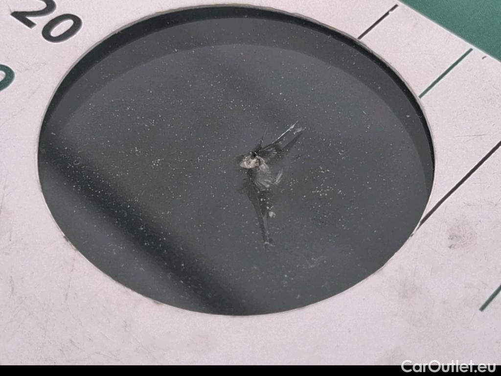  Renault  Clio  V Société Air Nav 1.5 dCi 85CV BVM6 E6dT #30