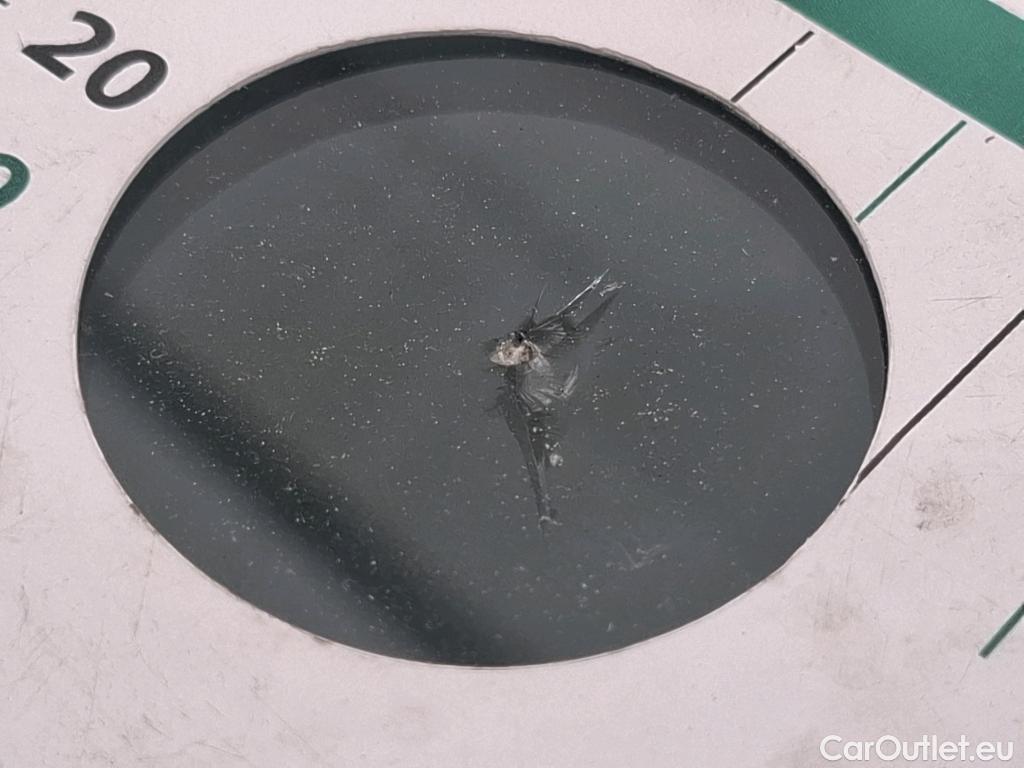  Renault  Clio  V Société Air Nav 1.5 dCi 85CV BVM6 E6dT #2