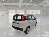  Fiat  Panda FIAT  / 2011 / 5P / BERLINA 1.2 69CV E6D-TEMP EASY #2