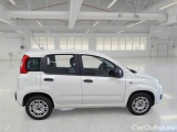  Fiat  Panda FIAT  / 2011 / 5P / BERLINA 1.2 69CV E6D-TEMP EASY #7