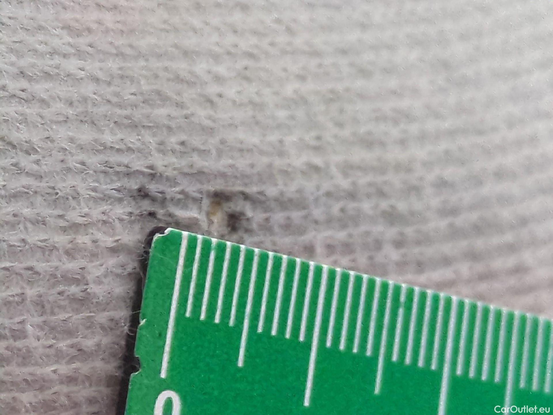  Renault  Clio  V Business 1.6 E-TECH Hybrid 140CV BVA6 E6d #10