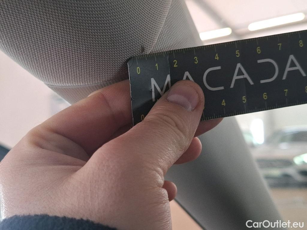  Skoda  Octavia  Berline Business 2.0 TDI 115CV BVA7 E6d #19