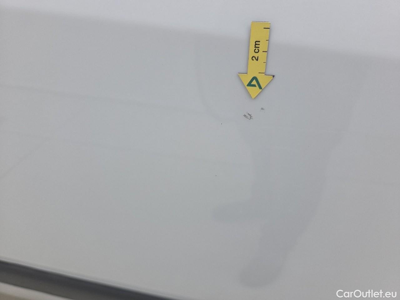  Renault  Kangoo 1.5 Blue dCi 95HP Maxi Confort #30