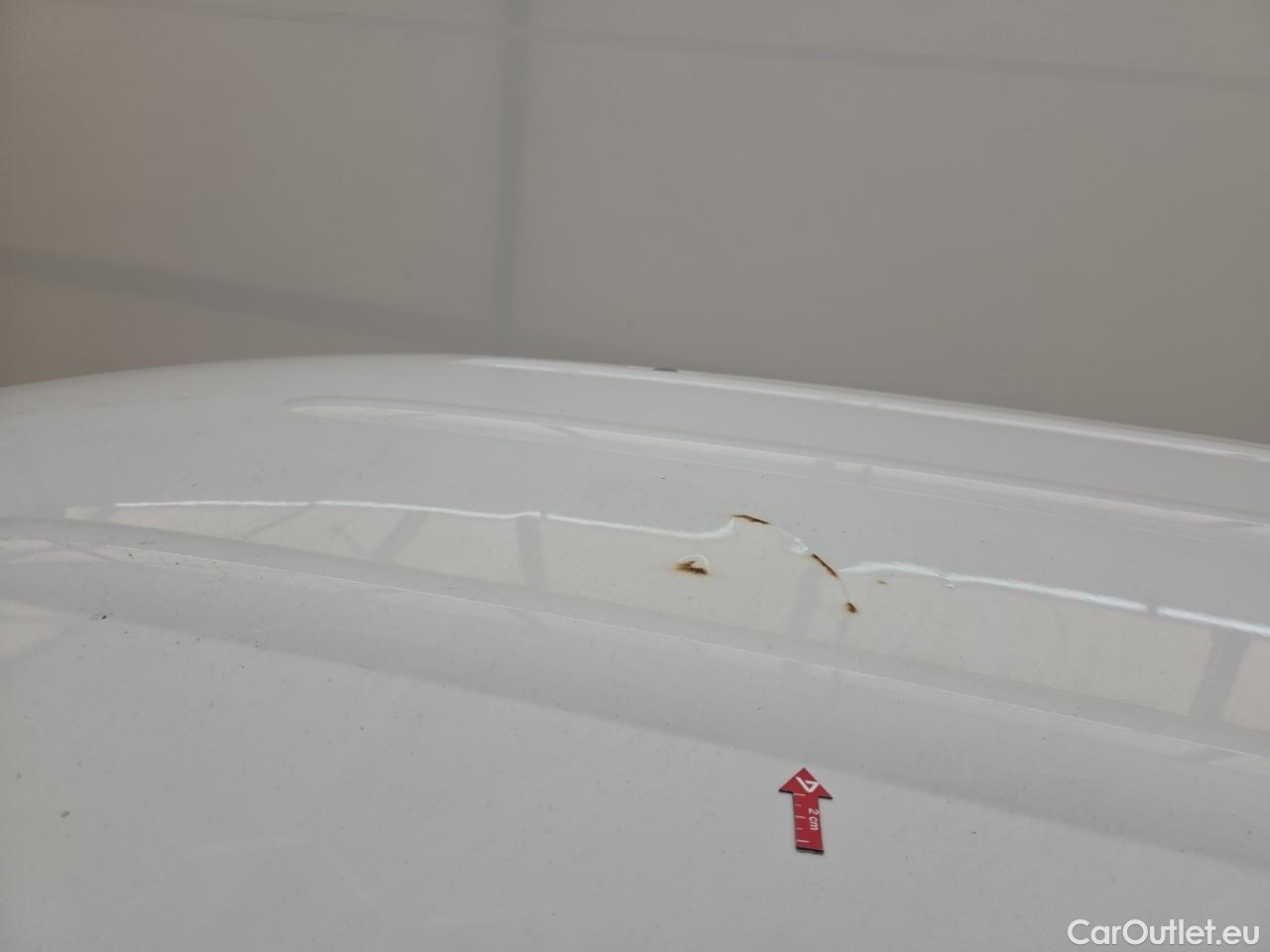  Renault  Kangoo 1.5 Blue dCi 95HP Maxi Confort #63