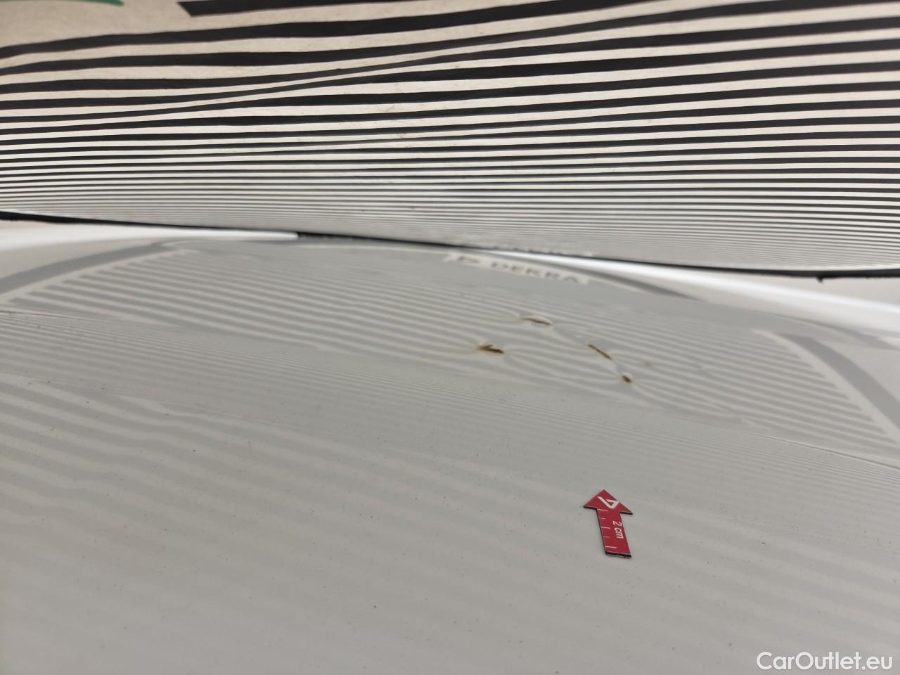  Renault  Kangoo 1.5 Blue dCi 95HP Maxi Confort #64