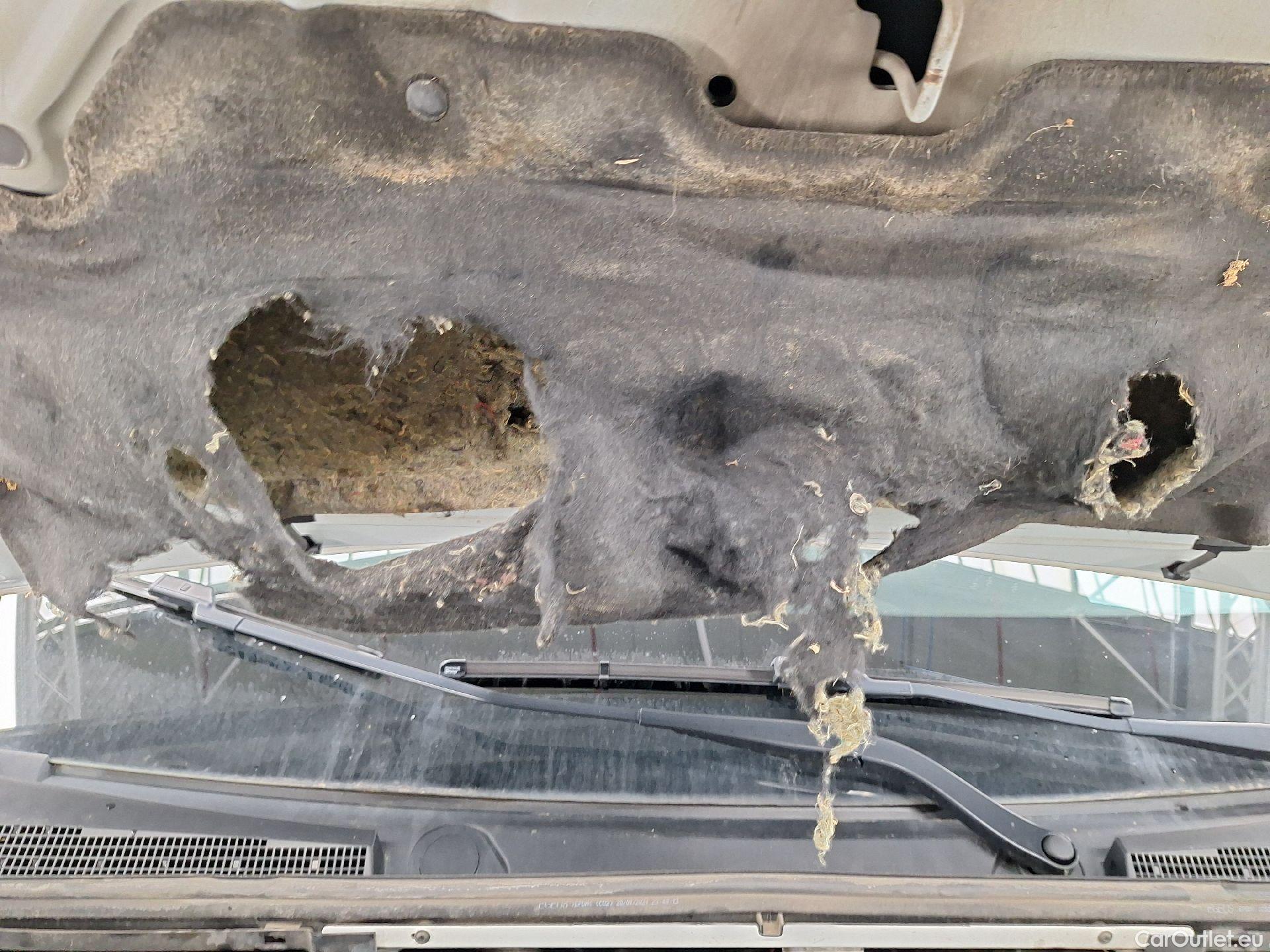  Renault  Trafic Renault, _ '14, Renault  L1H1 dCi 120 Grand Confort 2.7T 4d #2