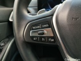  Bmw  Serie 3 BMW 3 DIESEL - 318 dA 150hp 4d #19