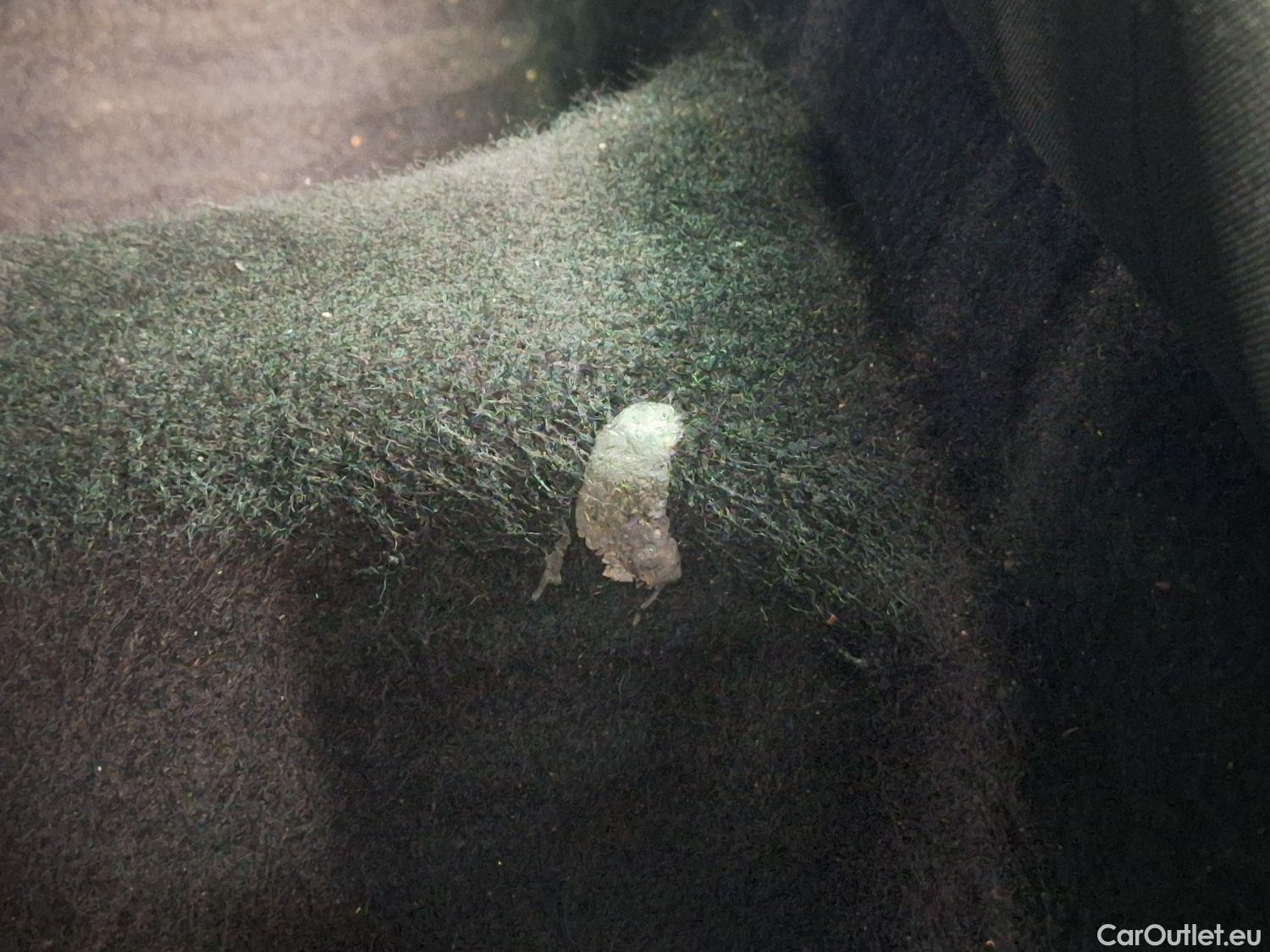  Skoda  KAMIQ Skoda,  '19, Skoda  1.0 TGI 66kW Clever 5d #89