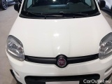  Fiat  Panda FIAT  / 2011 / 5P / BERLINA 1.2 69CV SeS E6D-TEMP EASY #25