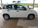  Fiat  Panda FIAT  / 2011 / 5P / BERLINA 1.0 70CV SeS HYBRID #7