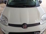  Fiat  Panda FIAT  / 2011 / 5P / BERLINA 1.0 70CV SeS HYBRID #28