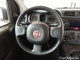  Fiat  Panda FIAT  / 2011 / 5P / BERLINA 1.0 70CV SeS HYBRID #112